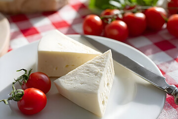 A fresh plate featuring sliced cheese and cherry tomatoes, elegantly arranged on a red and white checkered tablecloth, perfect for culinary presentations.