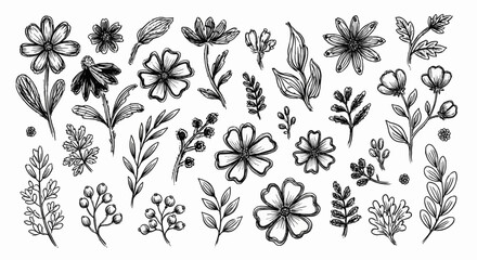 Floral Vector Delicate Flower Illustration Icon Set