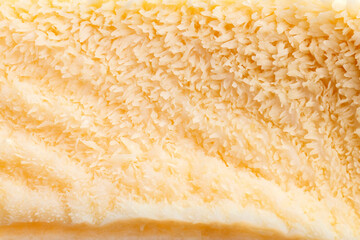 Texture of raw tripe - second beef stomach