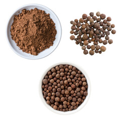 Allspice berries and ground allspice powder, isolated on transparent background, aromatic spice ingredient for Christmas baking and cooking