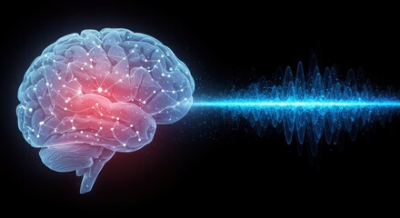 Brain activity and neural network stimulation