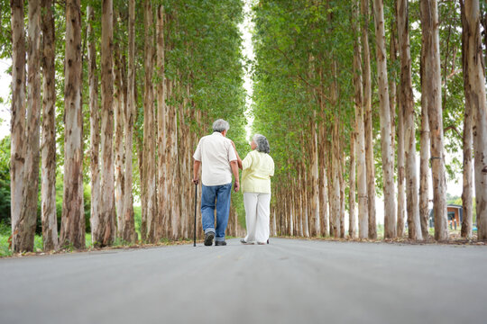 Back View of Senior Asian couple walking and talking in a park, Happy mature couple enjoying a stroll through the forest, Retired man and woman having a conversation on a nature path