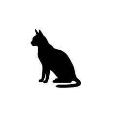 Playful Silhouette Cat in Motion