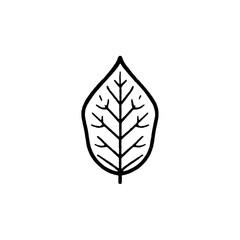 Silhouette of a Leaf in Nature