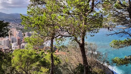 A Stunning Scenic Coastal View Surrounded by Lush Green Trees and Beautiful Landscapes