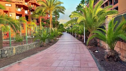 A serene and picturesque scenic walkway that is beautifully surrounded by lush palm trees