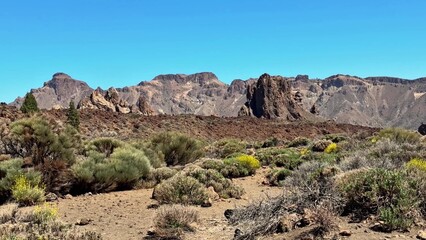 Experience the stunning desert landscape with unique and impressive rock formations