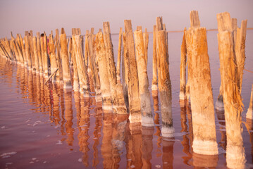 Wooden posts in calm water reflect a pink sky. The scene captures a serene landscape with natural...