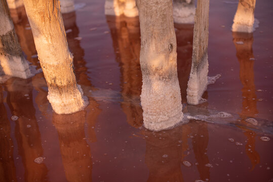 Wooden posts submerged in reddish water, reflecting light. The scene captures a tranquil natural environment with unique color contrasts.