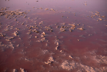 A vast expanse of pink salt flats with scattered salt formations. The surface reflects light, creating a shimmering effect. The landscape appears otherworldly and unique.