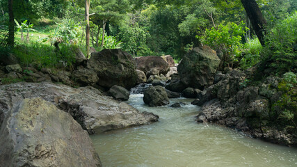 Cascading Water Over Rocks in a Serene Stream