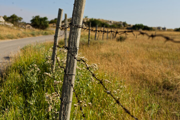 Barbed Wire Fence Along Gravel Road in Rural Landscape