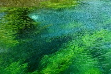 エメラルドグリーンの水面