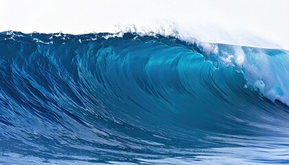 A powerful ocean wave curls majestically over the water.
