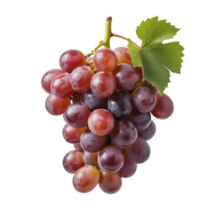 Fototapeta premium Red grapes with green leaf isolated on a transparent background purple