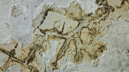 Grungy grey wall texture with dirt, stains, and cracked paint, showing signs of age and decay. Suitable for abstract backgrounds, architectural design, or vintage surface texture reference materials.