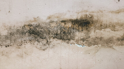 Beige painted wall with dirt stains and aged surface. Abstract grunge background featuring cracks,...