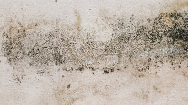 Old beige wall with dirty smudges and textured wear. Grunge surface background showcasing timeworn paint, scratches, and faded tones. Ideal for rustic visuals and raw artistic compositions.