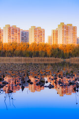 Fototapete bei efototapeten.de bestellen   