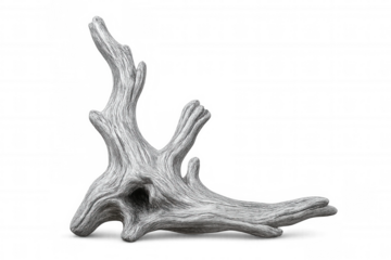 Weathered gray driftwood displaying intricate textures, lying on transparent surface, perfect for design and artistic compositions