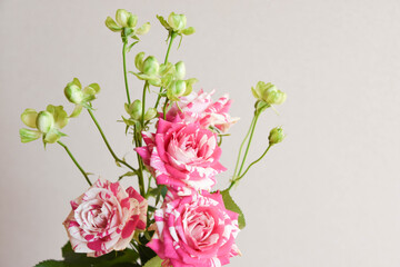 フラッシングとエクレール