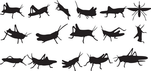 grasshopper, insect, bug, silhouette, wildlife, nature, animal, macro, close-up, jumping, flying, crawling, illustration, graphic, design, collection, set, various poses, arthropod, invertebrate, gard