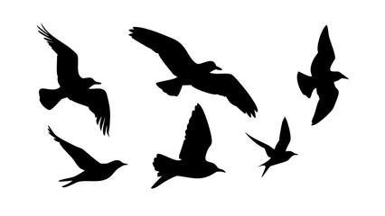 Diverse bird silhouettes in flight and perched flying sitting