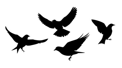 Four Sparrows Perched Together birds flying