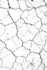 Vector Abstract Black and White Dry Cracked Earth Texture Grunge Overlay