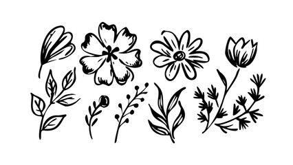 Hand Drawn Botanical Elements Floral and Leaf Silhouettes leaves flowers