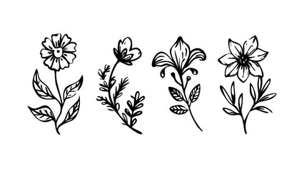 Hand drawn floral elements with leaves flowers botanical
