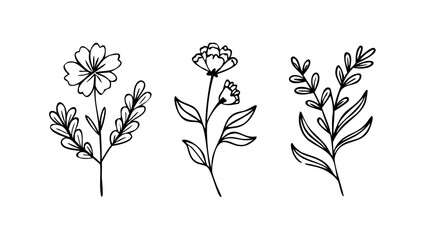 Minimalist floral line art with delicate botanical elements doodle
