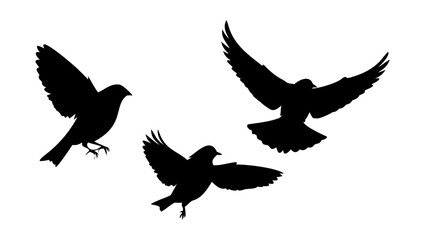 Three Sparrows Perched Together birds silhouette