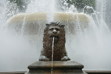 fountain in the park