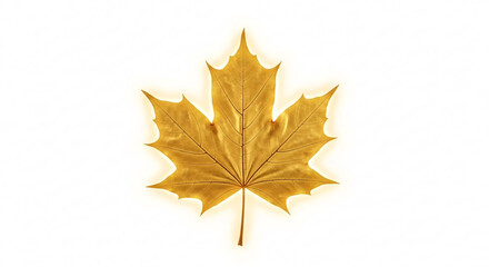 Fototapeta premium Golden Maple Leaf Against Pure White Background Perfect for Thanksgiving Decorations and Autumnal Designs