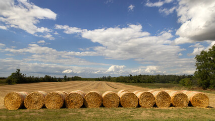 Row of large round hay bales in a field after harvest © Annette Buchkowski