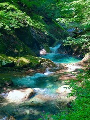 夏の涼しげな渓谷の風景。西沢渓谷。