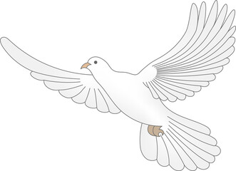 White dove transparent PNG. Peace dove vector illustration. Peace bird symbol. White dove drawing. Peace dove clipart. Bird vector transparent PNG.