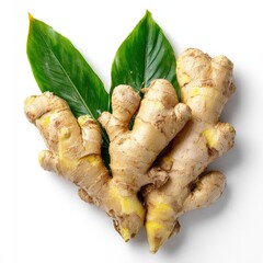 Fresh ginger root with leaves