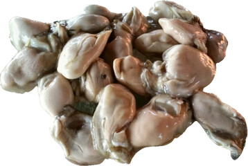 Fresh oysters meat with out shell Isolated	