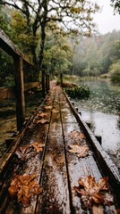 Wet wooden path through autumnal forest