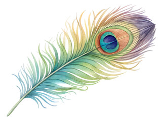 Beautifully detailed watercolor peacock feather with vibrant colors on black background