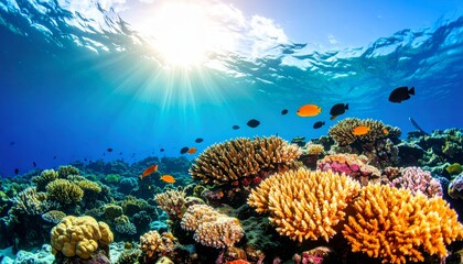 Obraz premium Sunbeams Pierce the Blue Ocean, Illuminating a Vibrant Coral Garden and Tropical Fish