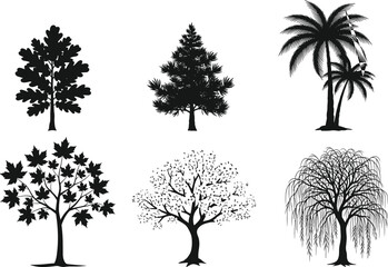 Silhouette vector collection of different tree types including oak, pine, palm, maple, cherry, and willow for nature design projects.
