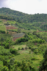 Lush Green Hills and Terraced Fields in a Rural Landscape Under Cloudy Sky