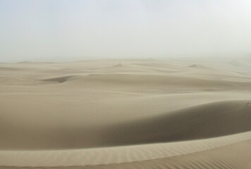Beautiful natural landscape with sand dunes in the desert at sunset