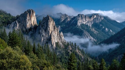 Obraz premium Misty mountain peaks pierce a hazy sky. Lush forest floor below