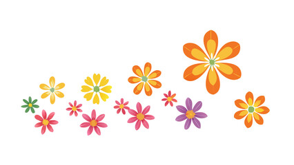 Colorful blooming flowers floral nature