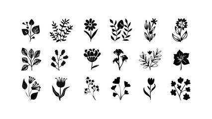 Delicate Floral Silhouettes Collection flower leaves