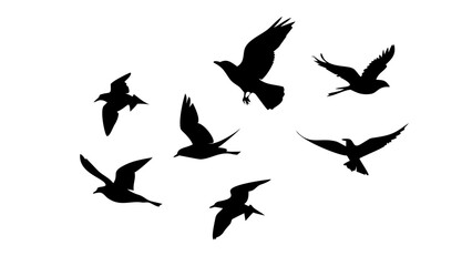 Flock of Crows in Flight black birds flying